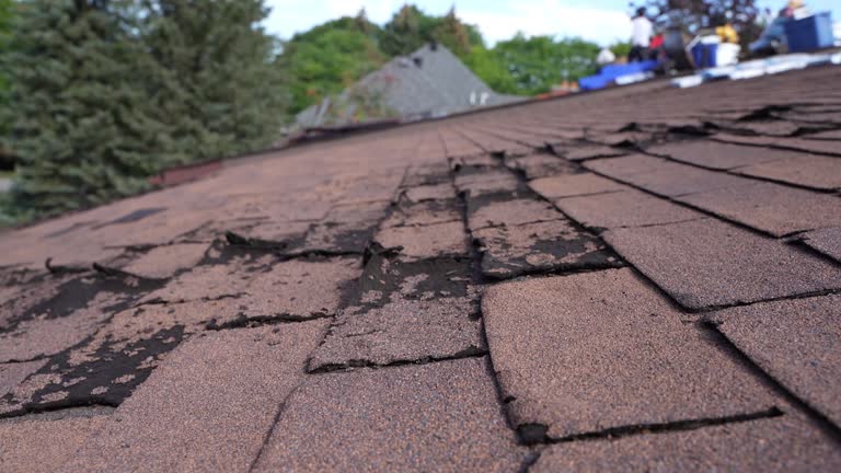 Roof Restoration in Nitro, WV